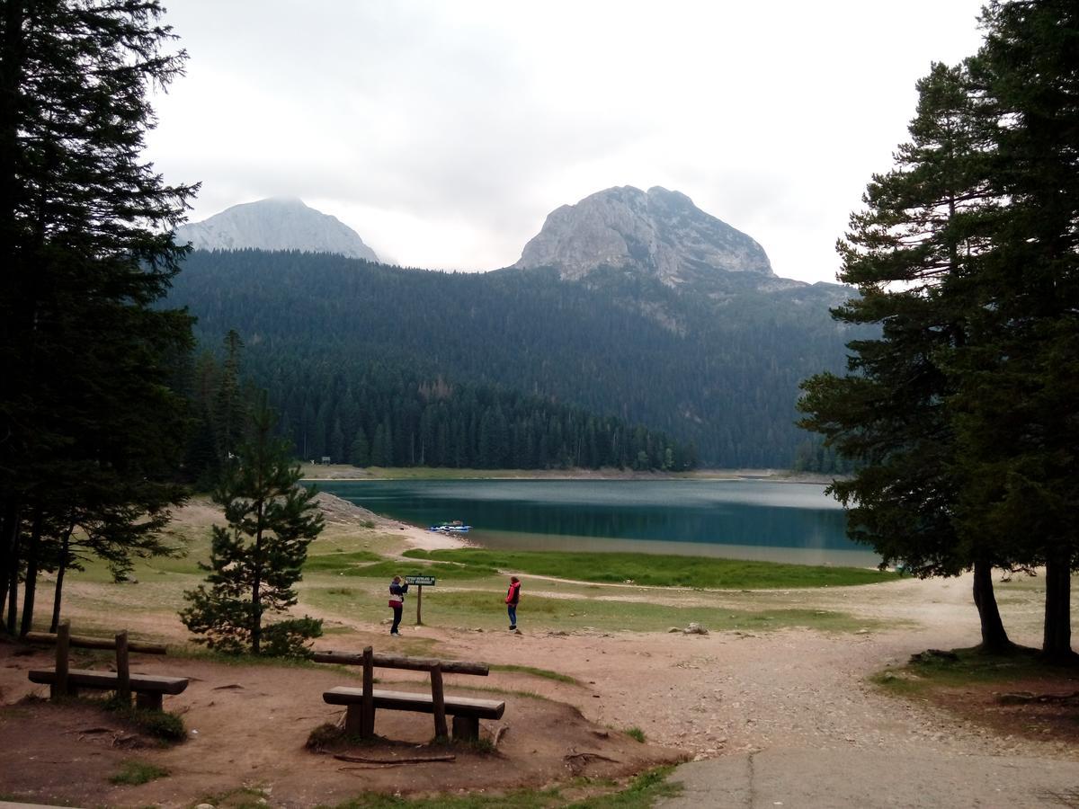 Apartment Mountain Dream Zabljak  Ngoại thất bức ảnh