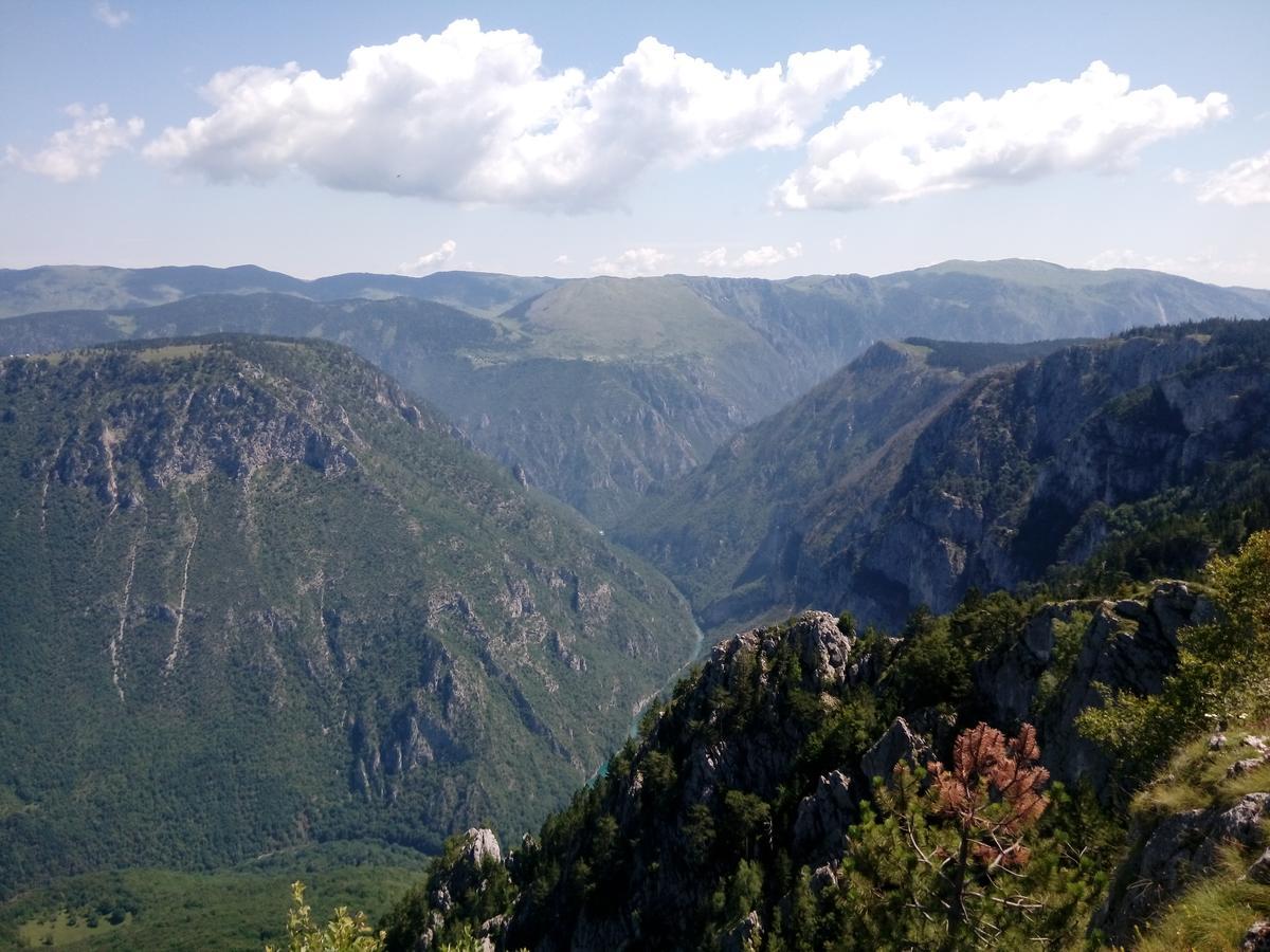 Apartment Mountain Dream Zabljak  Ngoại thất bức ảnh